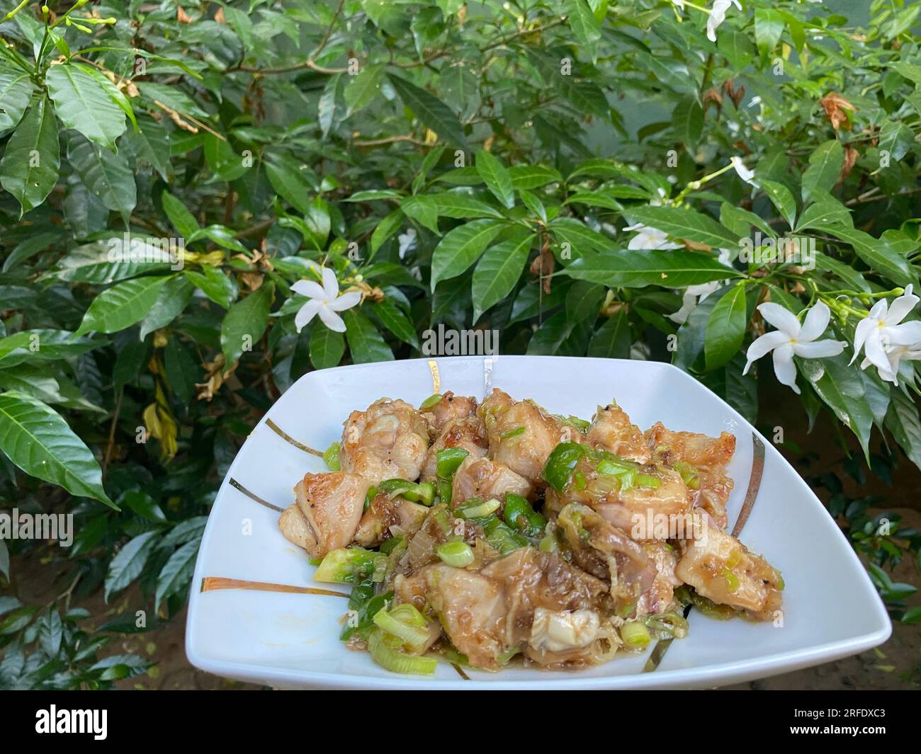 Nourriture au Sri Lanka. Visitez le Sri Lanka Banque D'Images