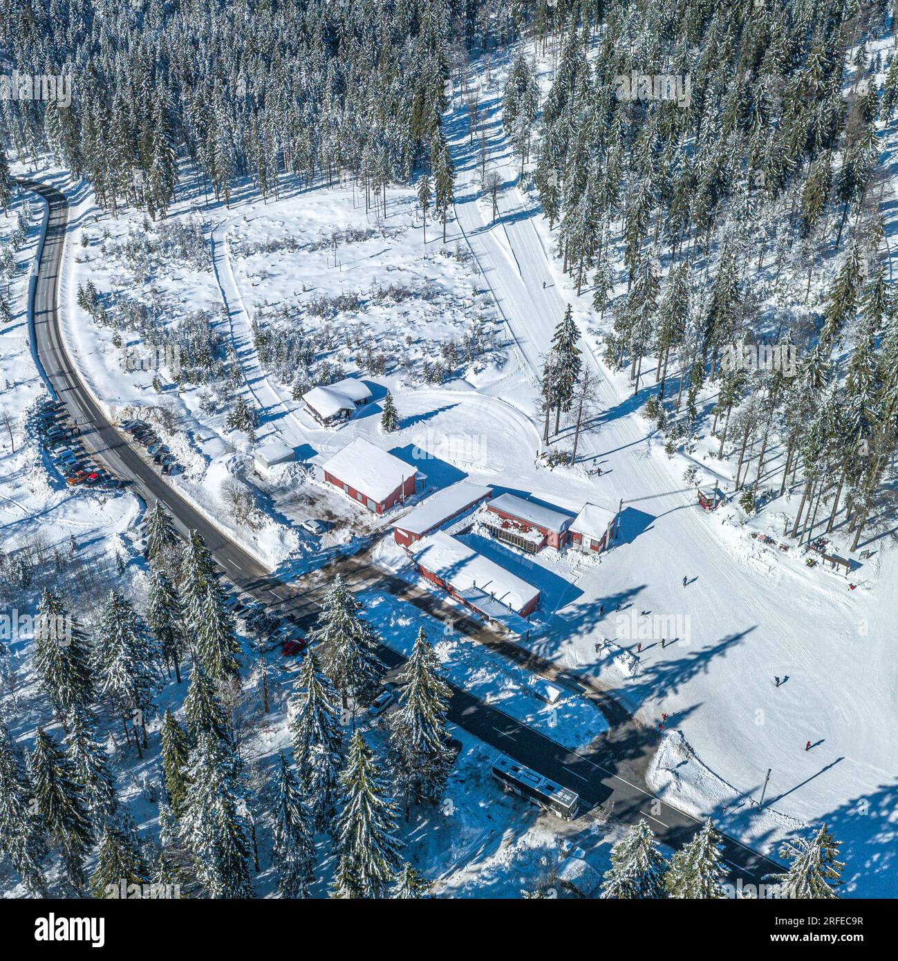 Le ski de fond-Centre Bretterschachten dans la forêt bavaroise près de la Grande Arbre d'en haut Banque D'Images