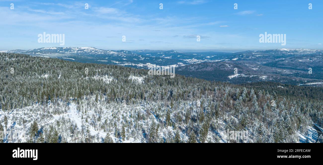 Le ski de fond-Centre Bretterschachten dans la forêt bavaroise près de la Grande Arbre d'en haut Banque D'Images