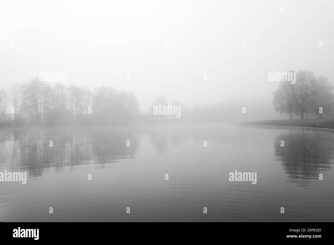 Germeringer Voir près de Germering en haute-Bavière. Paysage au lac dans le brouillard. Photo en noir et blanc. Matin brumeux dans la nature. Banque D'Images