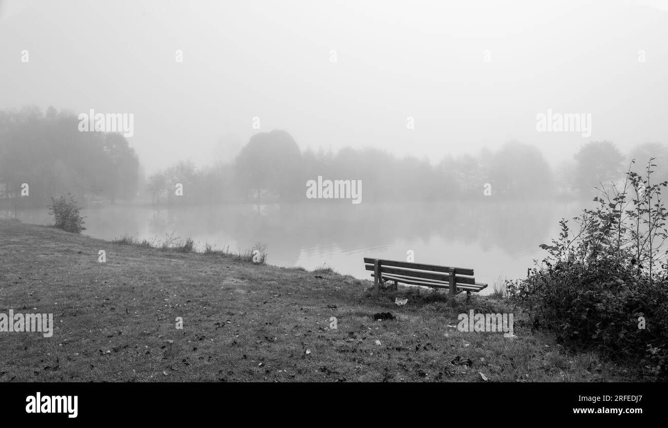 Germeringer Voir près de Germering en haute-Bavière. Paysage au lac dans le brouillard. Photo en noir et blanc. Matin brumeux dans la nature. Banque D'Images