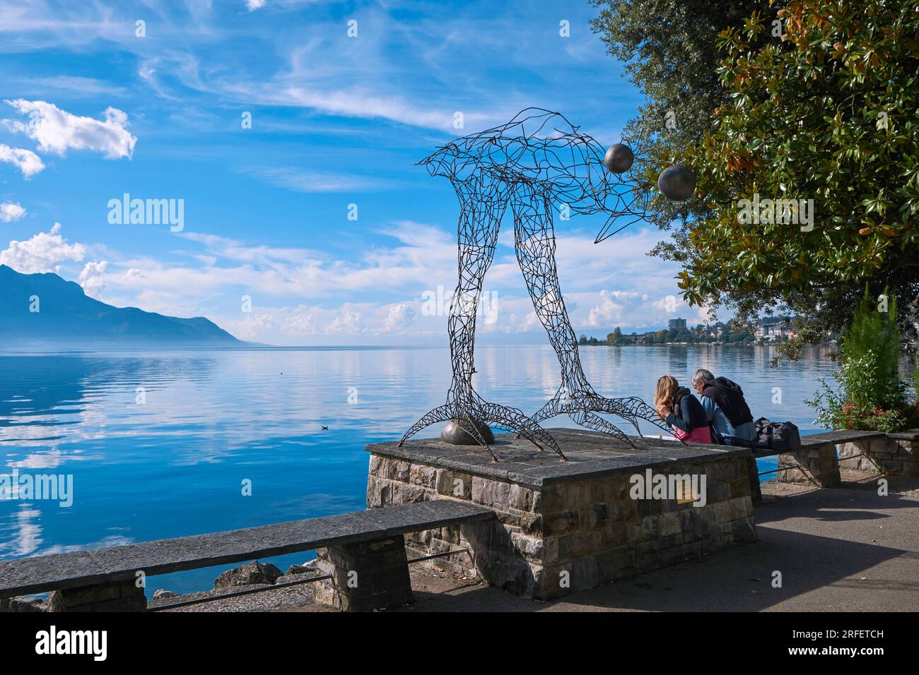 Suisse, Canton de Vaud, Montreux, Lac Genève, avant le vol, Fils d'oiseaux de l'artiste suisse Michel Buchs Banque D'Images