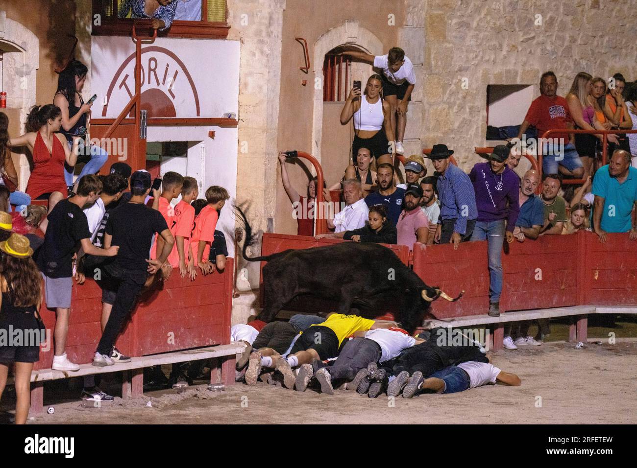 France, Gard, Aigues vives, fête du taureau, pool de taureaux Banque D'Images