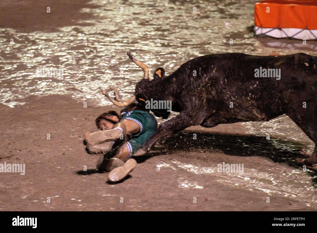 France, Gard, Aigues vives, fête du taureau, pool de taureaux Banque D'Images