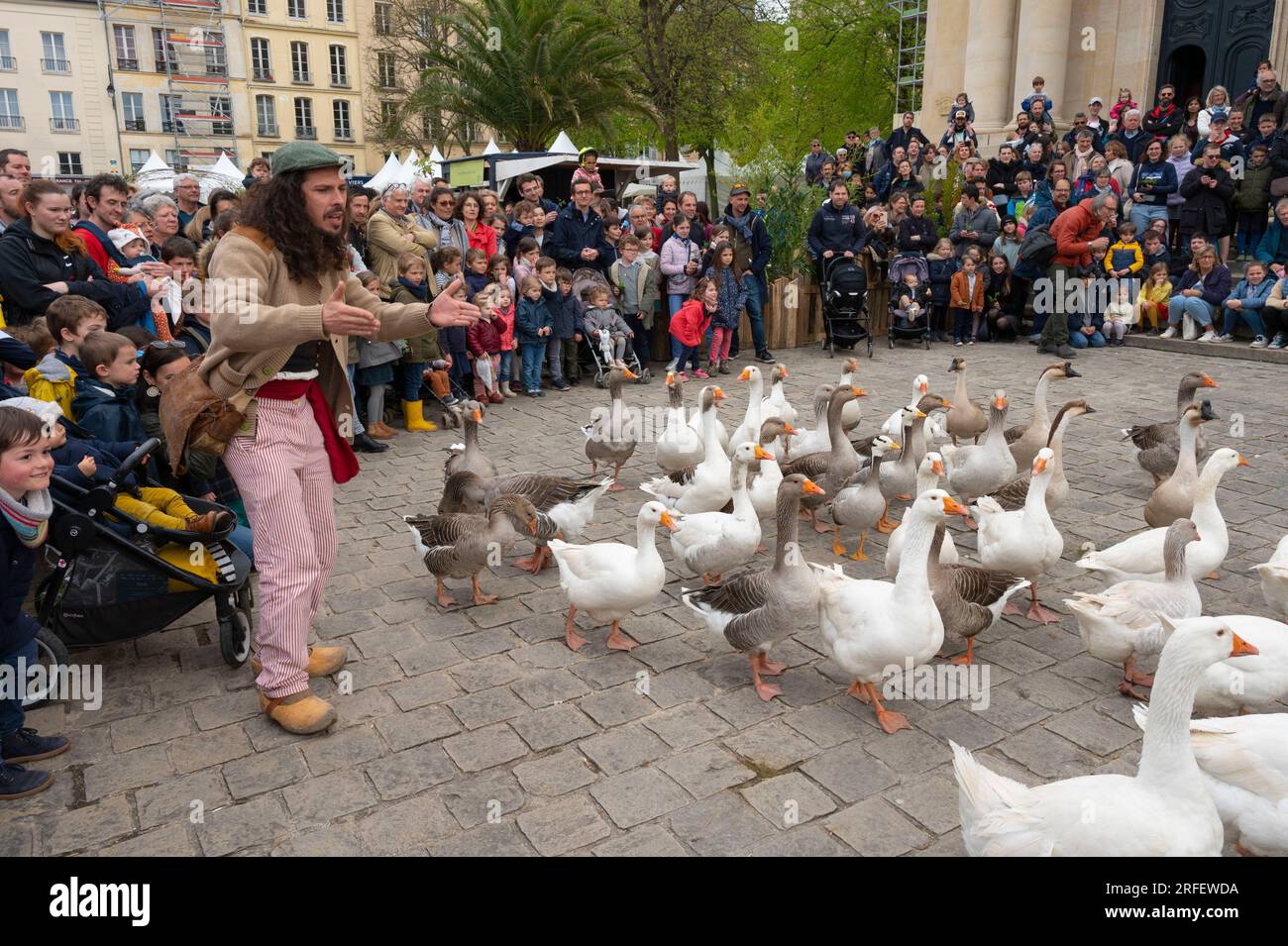 France, Yvelines, Versailles, quartier Saint Louis, Festival des plantes esprit jardin, entreprise de dresseur de chiens exécutant un spectacle avec des oies dressées Banque D'Images