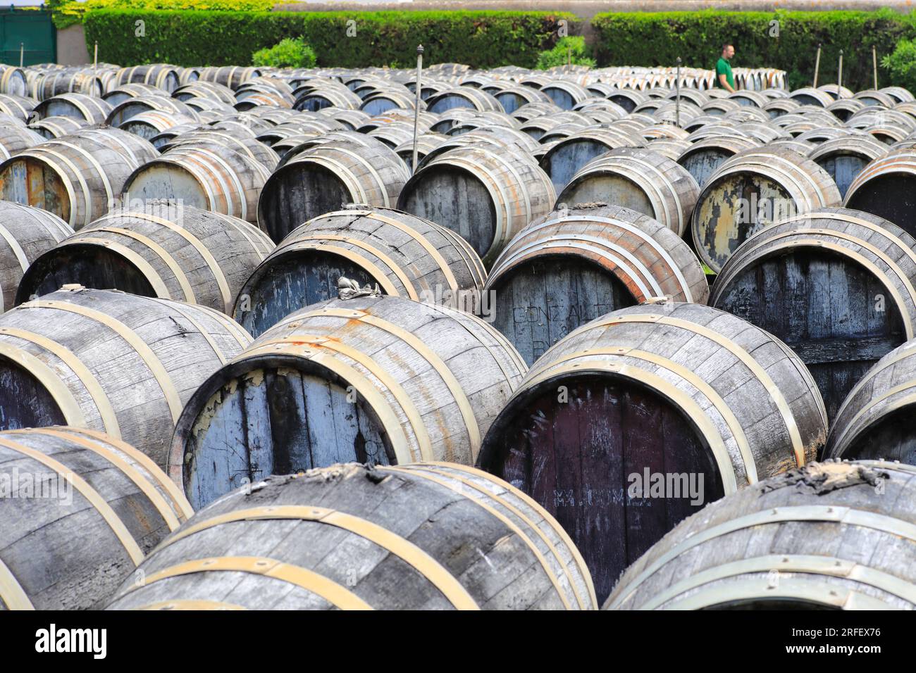 France, Hérault, Marseillan, Noilly Prat (vermouth français élaboré avec du vin blanc macéré aux herbes et épices depuis 1813), vieillissement des vins blancs secs en plein air pendant un an à l'enclos Banque D'Images