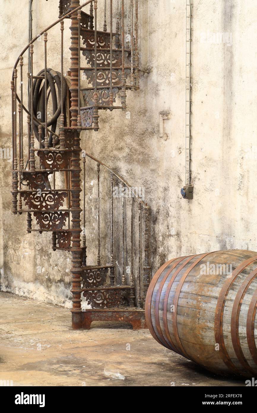 France, Hérault, Marseillan, Noilly Prat (vermouth français à base de vin blanc macéré d'herbes et d'épices depuis 1813), atelier cooper Banque D'Images