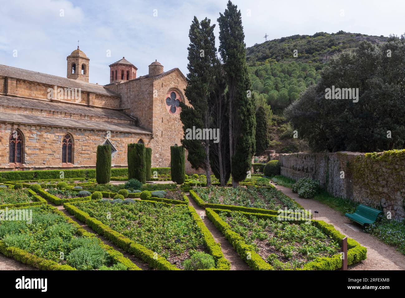 France, Aude, Narbonne, Abbaye de Fontfroide, roseraie Banque D'Images