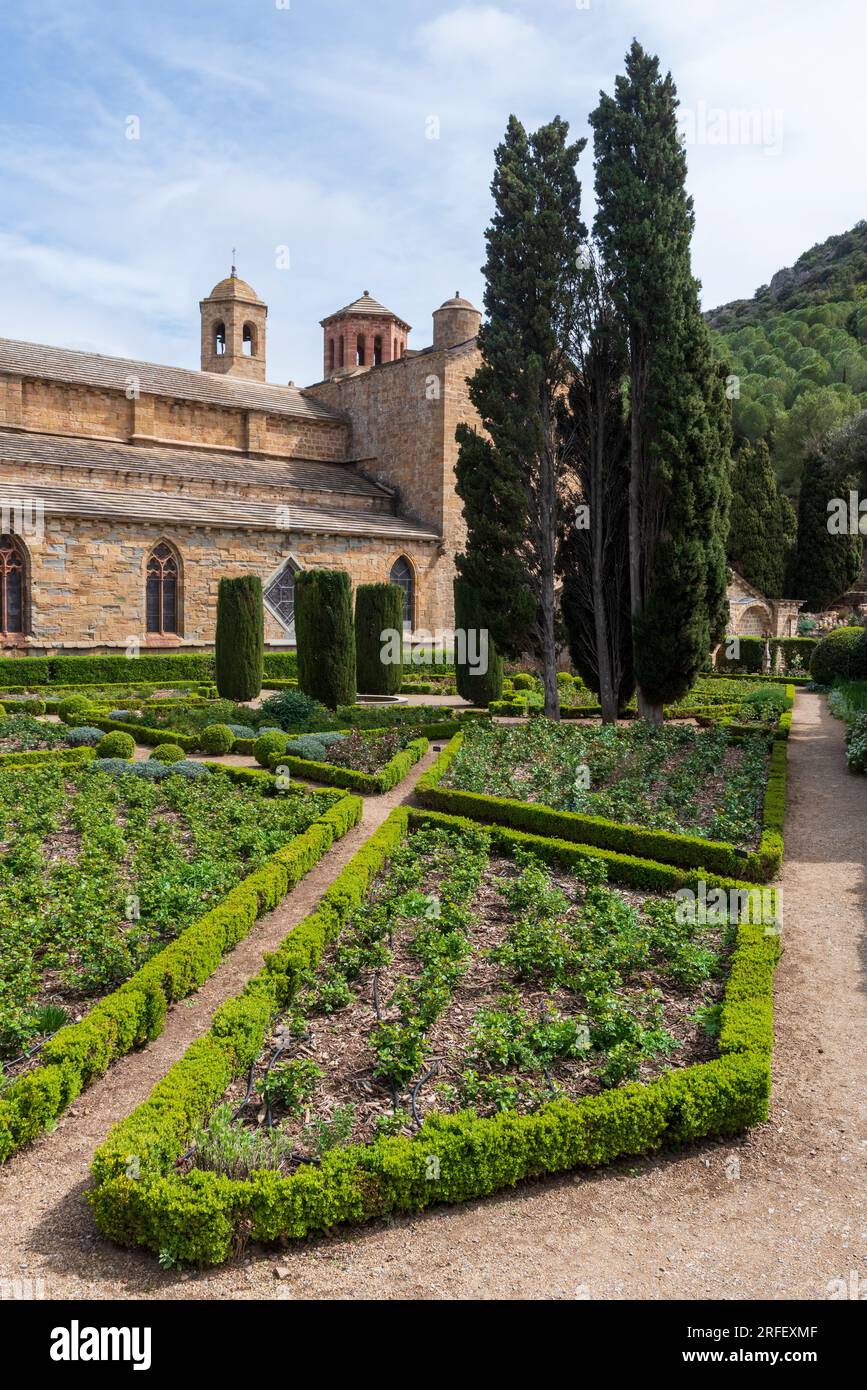 France, Aude, Narbonne, Abbaye de Fontfroide, roseraie Banque D'Images