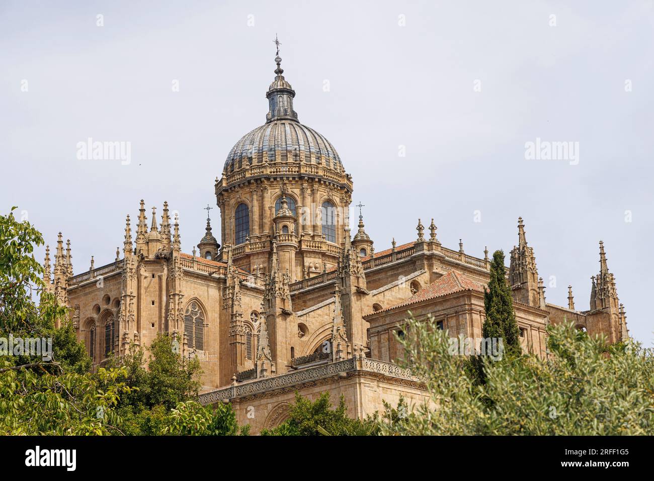 Espagne, Castille-et-Léon, Salamanque, Vieille ville de Salamanque classée au patrimoine mondial de l'UNESCO, les cathédrales Banque D'Images