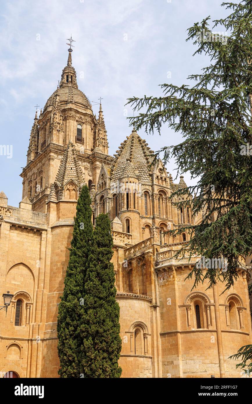 Espagne, Castille-et-Léon, Salamanque, Vieille ville de Salamanque classée au patrimoine mondial de l'UNESCO, les cathédrales Banque D'Images