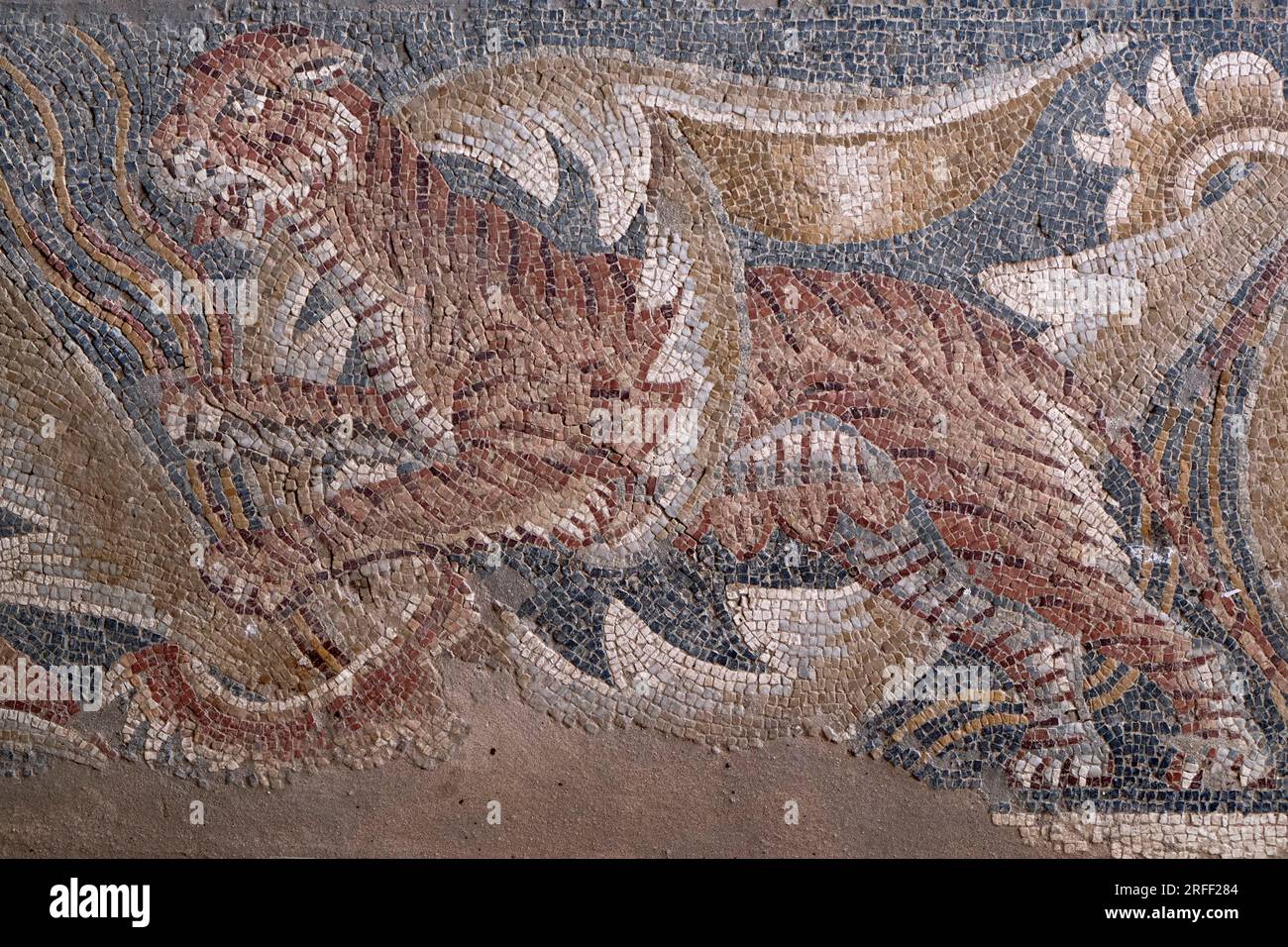 Italie, Sicile, région de Noto, Villa romaine de Tellaro du 4e siècle (Villa romana del Tellaro), mosaïque de tigres Banque D'Images