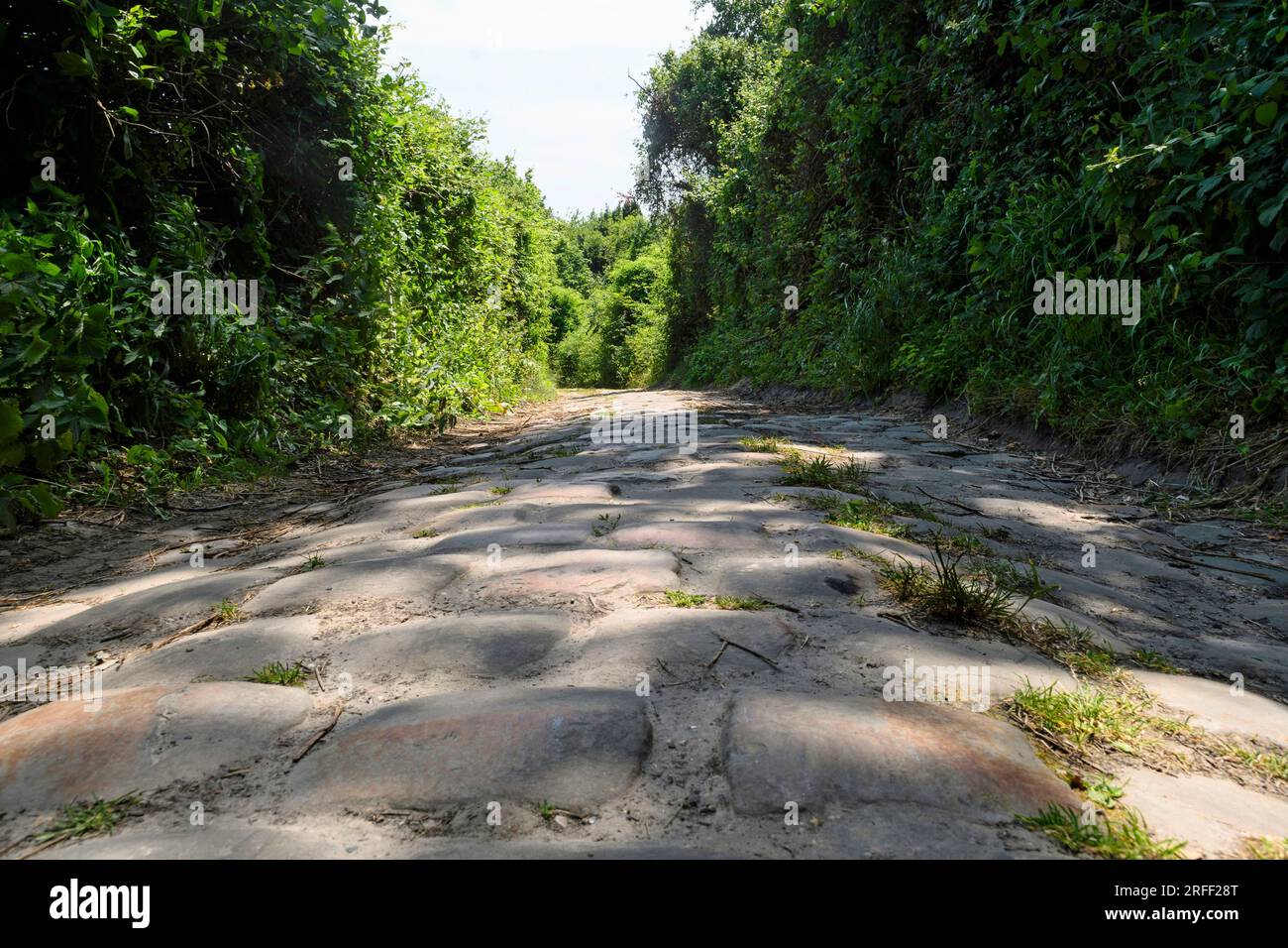 France, département du Val d'Oise, région de Plaine Vallée Banque D'Images