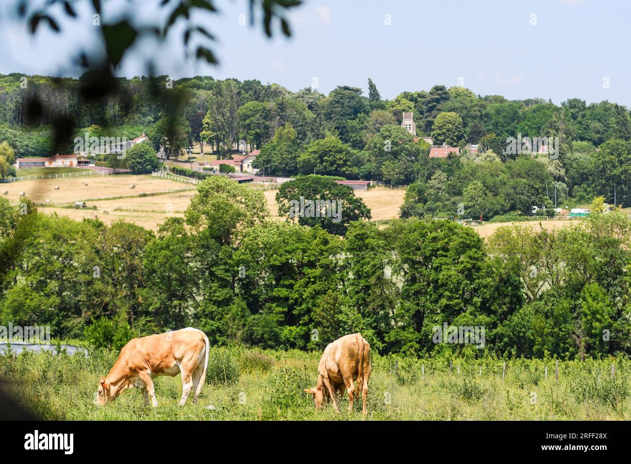 France, département du Val d'Oise, région de Plaine Vallée Banque D'Images