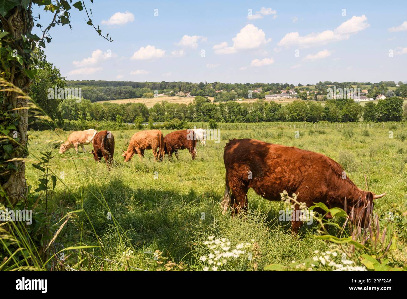 France, département du Val d'Oise, région de Plaine Vallée Banque D'Images