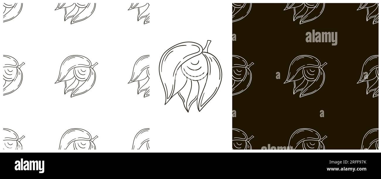 Physalis. Modèle sans couture avec des fruits tropicaux. Définir dans le style de dessin à la main. Emballage monochrome et etc Illustration de Vecteur
