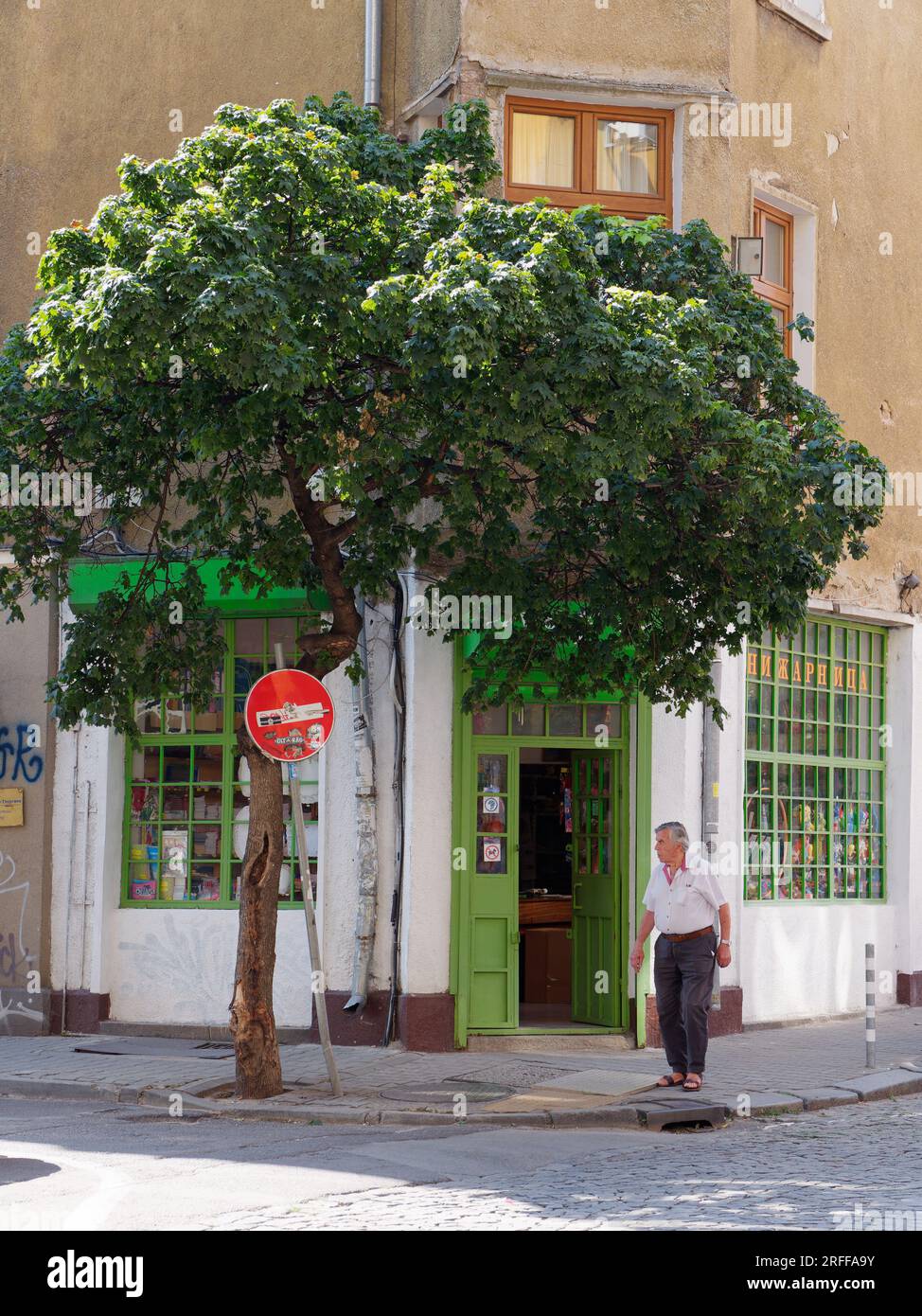 Homme âgé en face d'une boutique pittoresque avec des fenêtres et une porte en bois vert et un arbre et aucun signe d'entrée, dans la ville de Sofia, Bulgarie. 3 août 2023. Banque D'Images