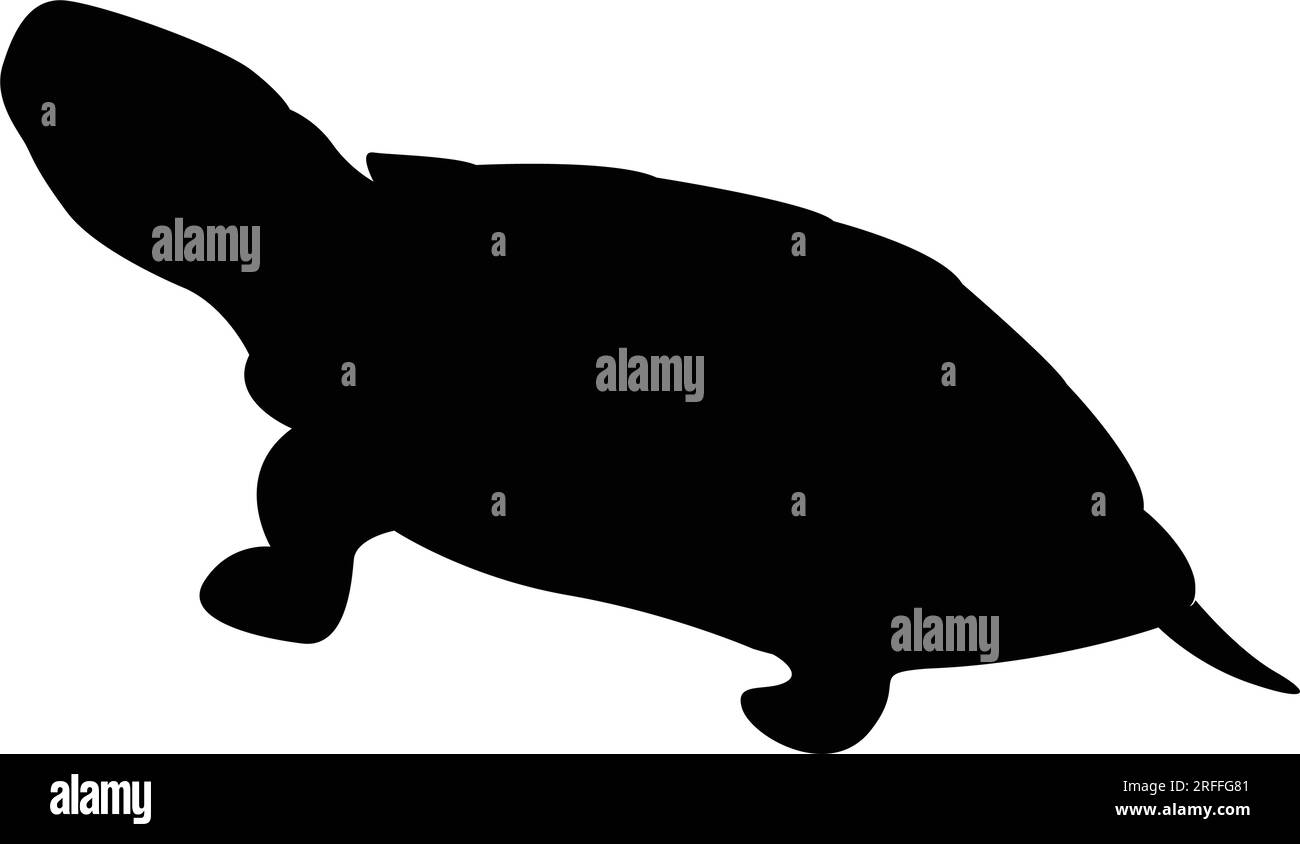 modèle de logo d'illustration de vecteur d'icône tortue Illustration de Vecteur