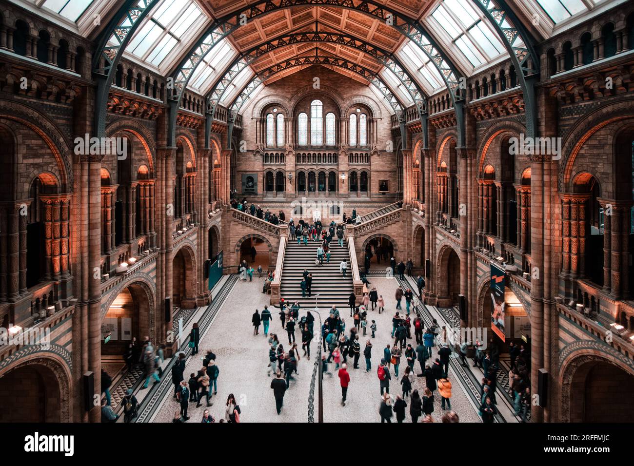 Le Musée d'Histoire Naturelle Banque D'Images