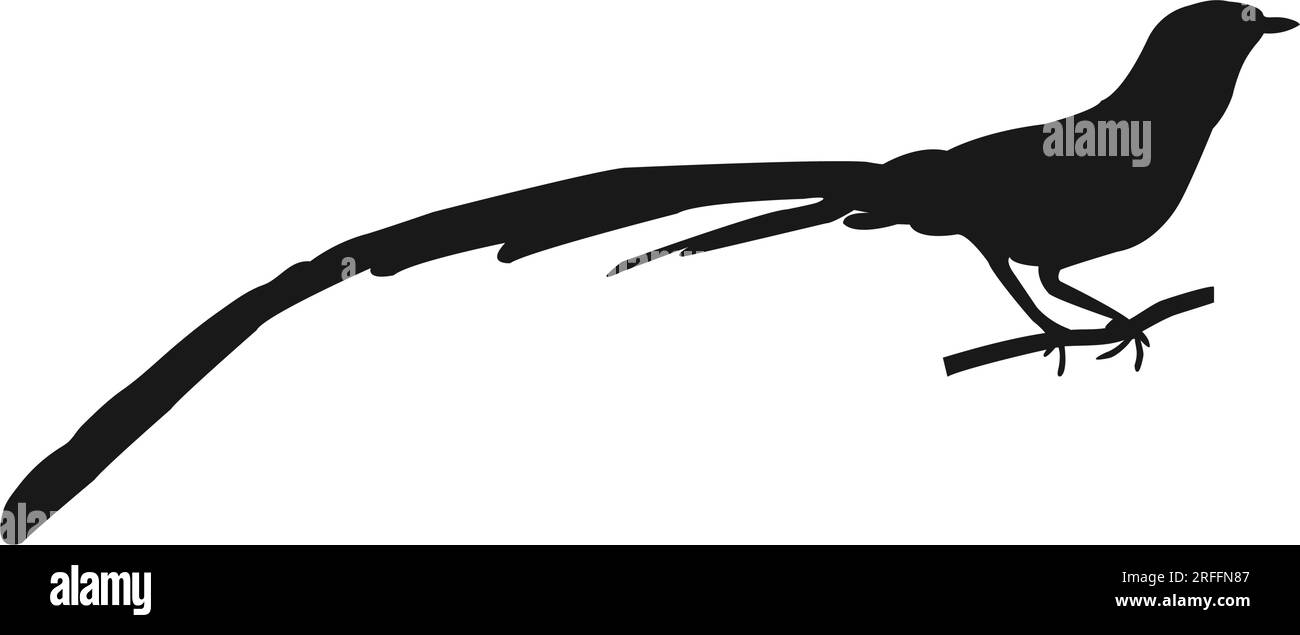 conception d'illustration vectorielle d'icône d'oiseau magpie Illustration de Vecteur