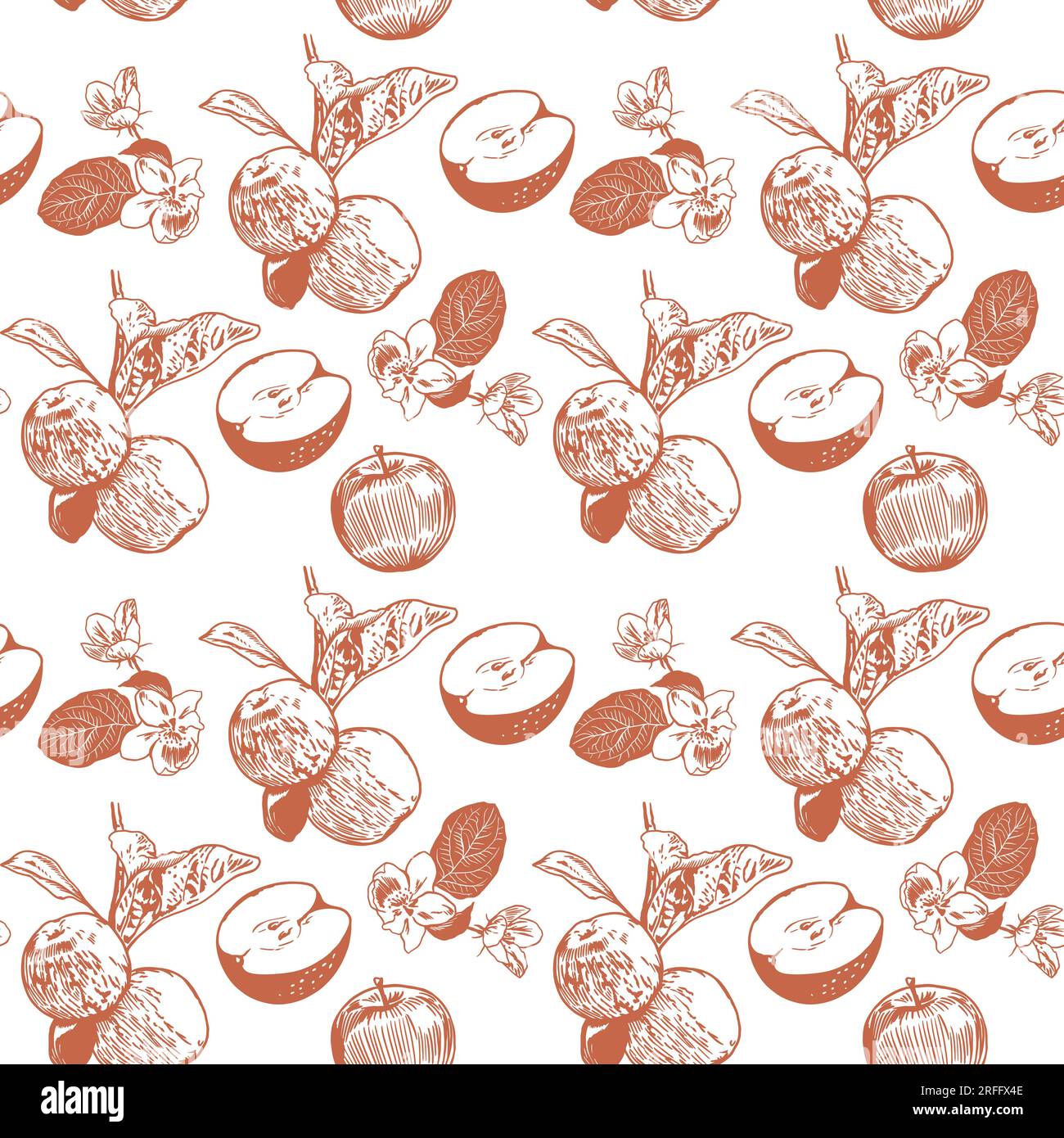 Pommes sur une branche avec des feuilles, entières et coupées. Motif vectoriel avec des pommes sur un fond blanc. Conception pour couvertures, textiles, papier d'emballage, vêtements. Illustration de Vecteur