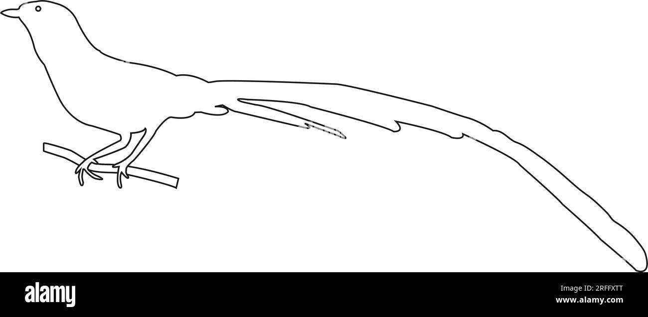 conception d'illustration vectorielle d'icône d'oiseau magpie Illustration de Vecteur
