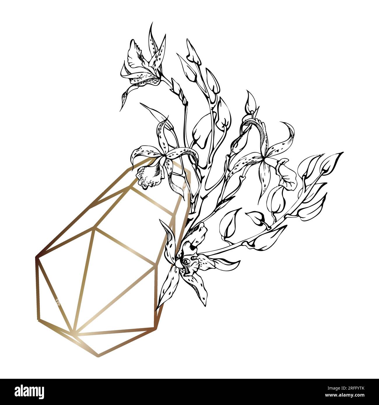 Fleurs et branches d'orchidées à encre vectorielle dessinées à la main, monochrome, contour détaillé. Composition en cristal. Isolé sur fond blanc. Conception Illustration de Vecteur