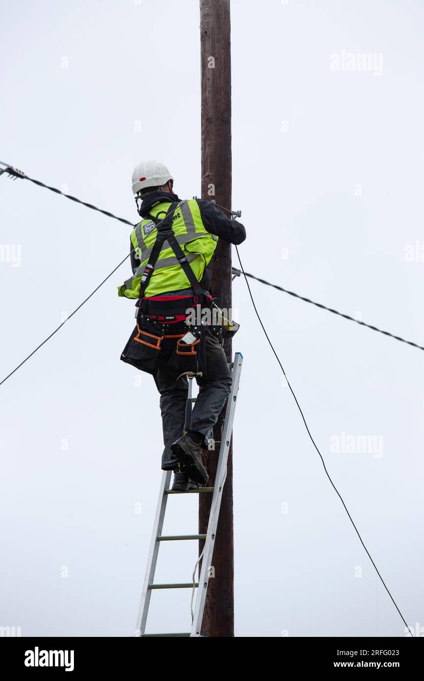 Technicien fixant un câble à fibre optique large bande à un poteau Banque D'Images