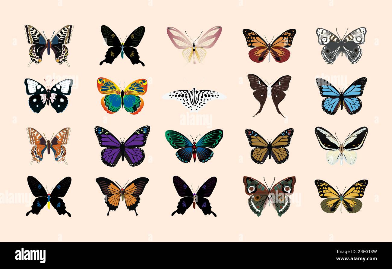 Collection d'illustrations vectorielles Butterflies colorées Illustration de Vecteur