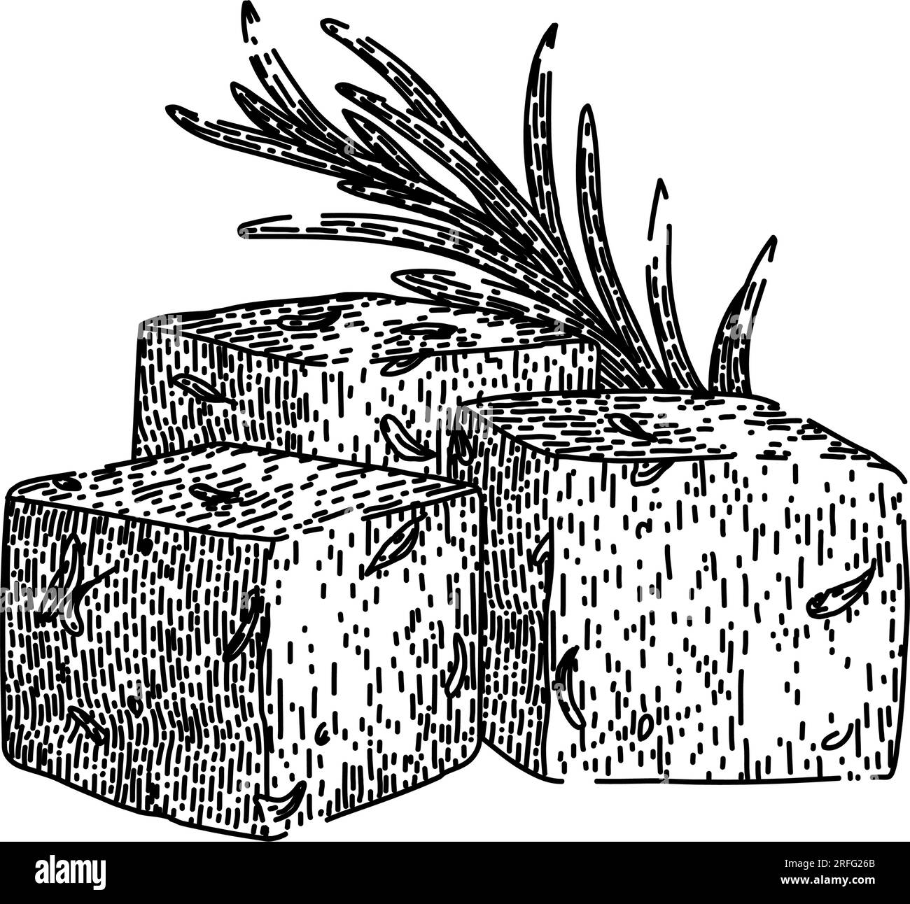 vecteur dessiné à la main pour croquis de fromage feta apéritif Illustration de Vecteur