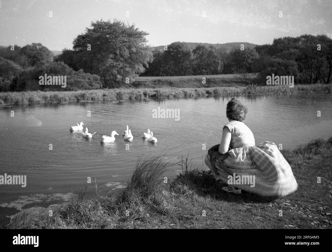 Années 1950, historique, une jeune femme en robe d'été s'agenouilla sur un chemin de halage sur le canal Macclesfield, près de Congleton, Cheshire, Engand, Royaume-Uni. Banque D'Images