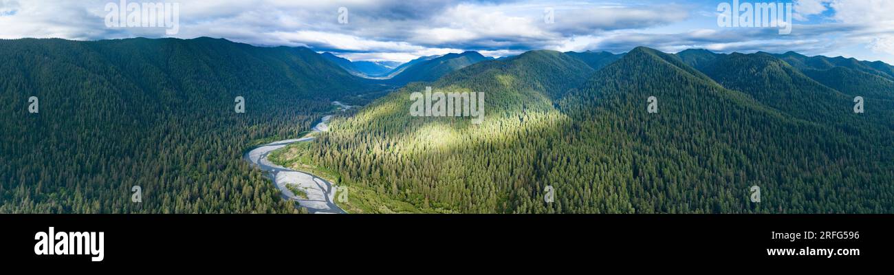 Une épaisse forêt tropicale tempérée recouvre le paysage montagneux accidenté de la vallée de la rivière Hoh dans le parc national olympique, dans l'État de Washington. Banque D'Images