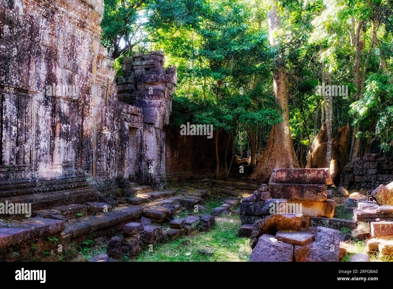 Ruines sereines : vestiges anciens de la civilisation khmère dans la forêt cambodgienne, peignant un paysage pittoresque. Banque D'Images