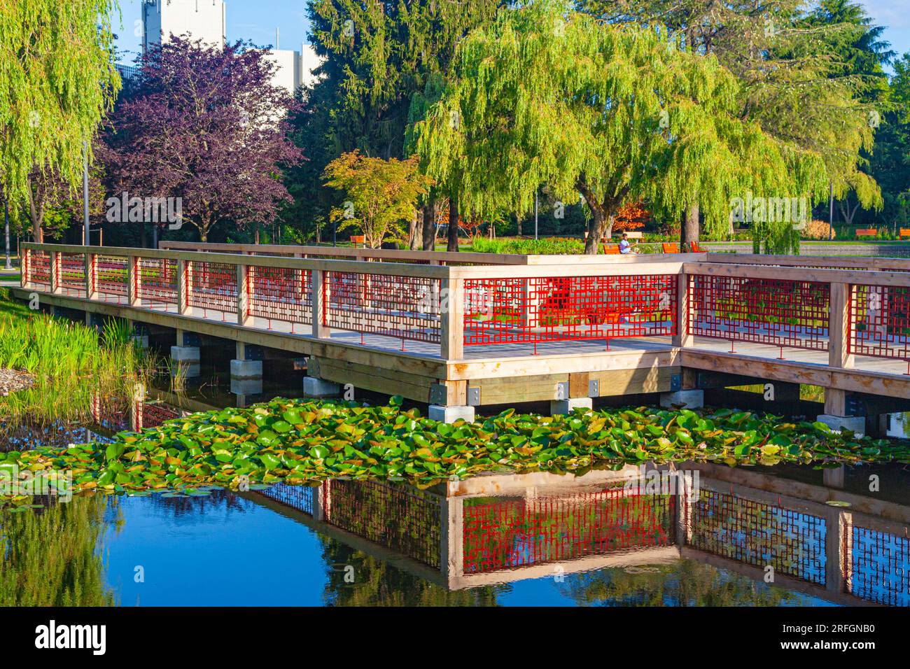Parc de la ville intérieure des lacs Minoru à Richmond Colombie-Britannique Canada Banque D'Images