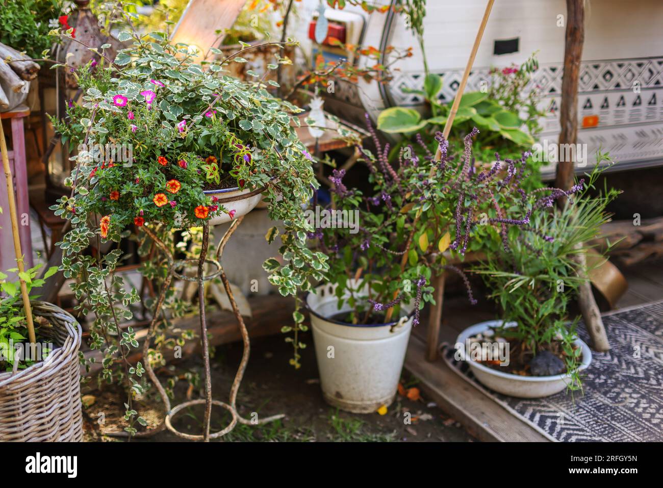 Abri de jardin entouré de plantes et d'arbustes en pots colorés. Banque D'Images