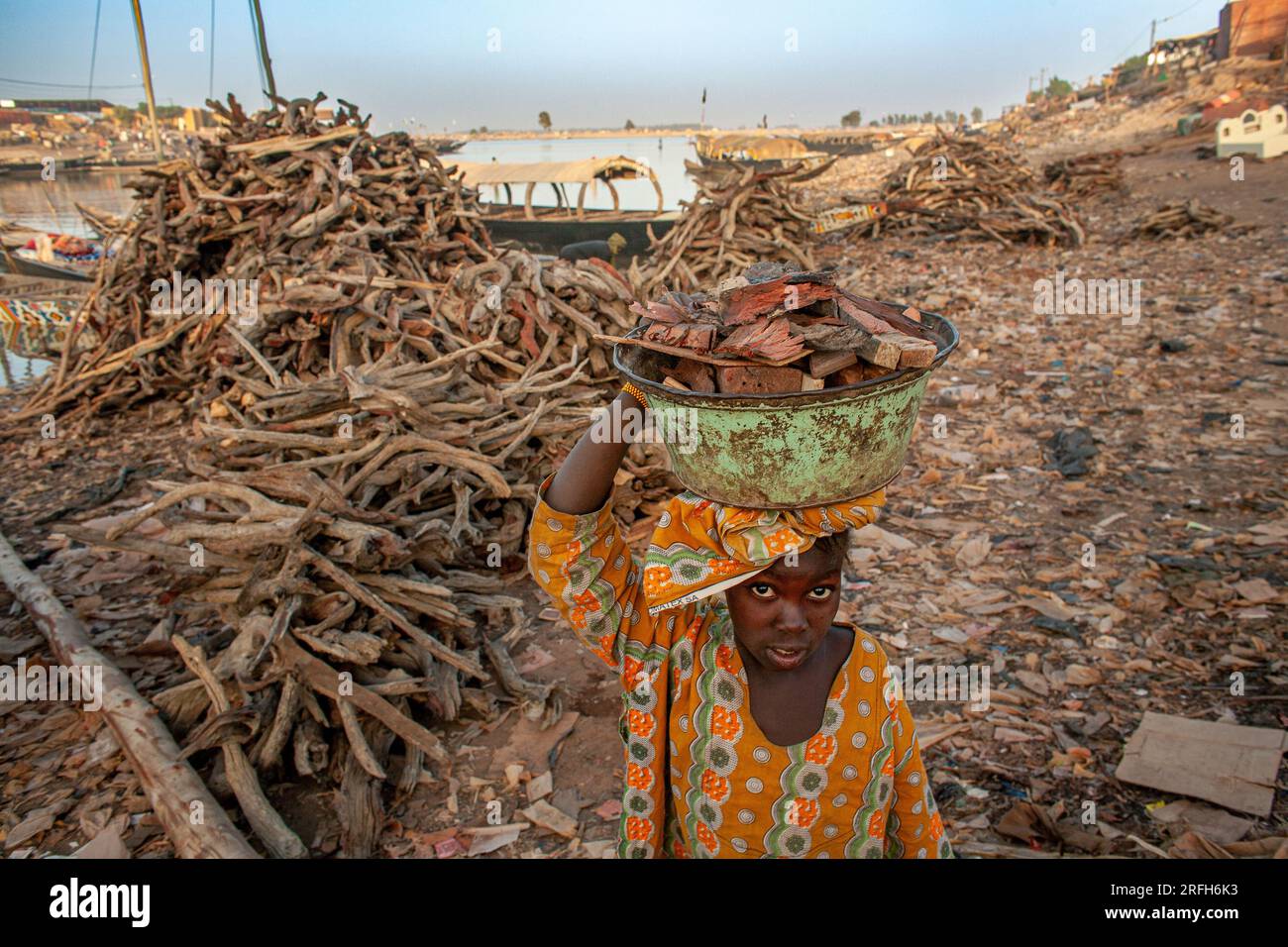 Jeune fille portant un grand seau avec du bois de feu sur la tête , Mopti , Mali , Afrique de l'Ouest. Banque D'Images