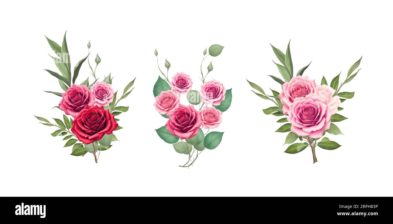 Roses de demi-teinte rouges et roses, éléments d'illustration dessinés à la main ensemble coloré Banque D'Images