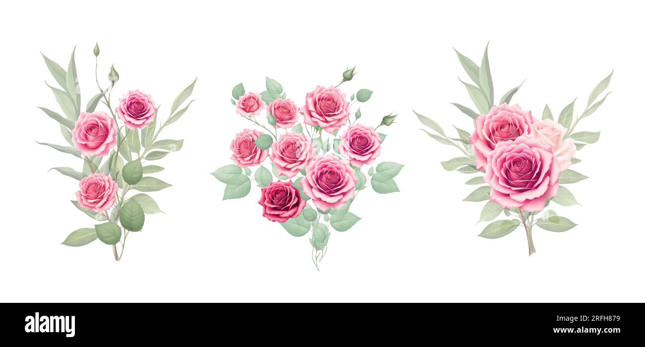 Roses de demi-teinte rouges et roses, éléments d'illustration dessinés à la main ensemble coloré Banque D'Images