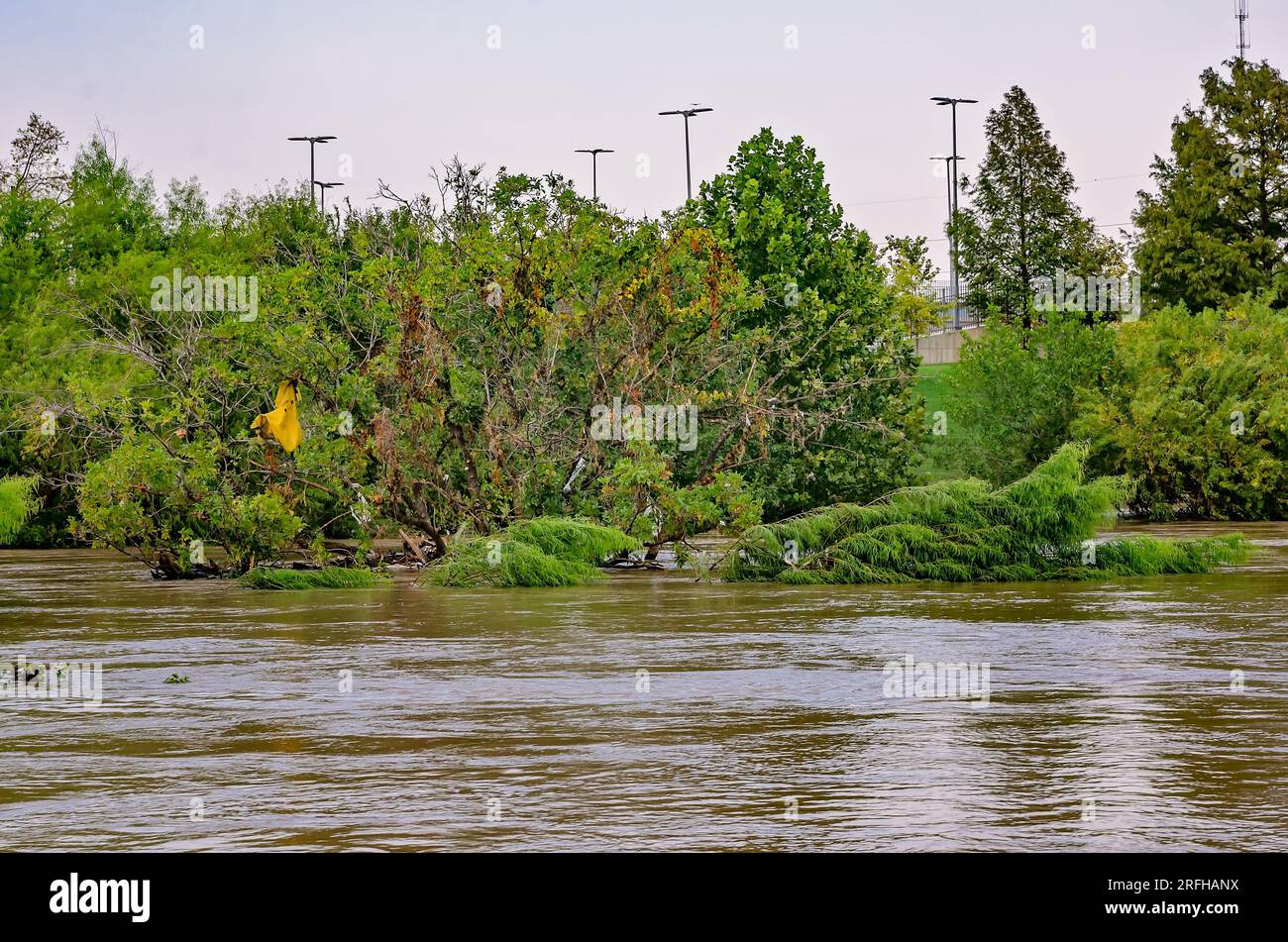 Buffalo Bayou Park est inondé après l'ouragan Harvey, le 4 septembre 2017, à Houston, au Texas. Banque D'Images
