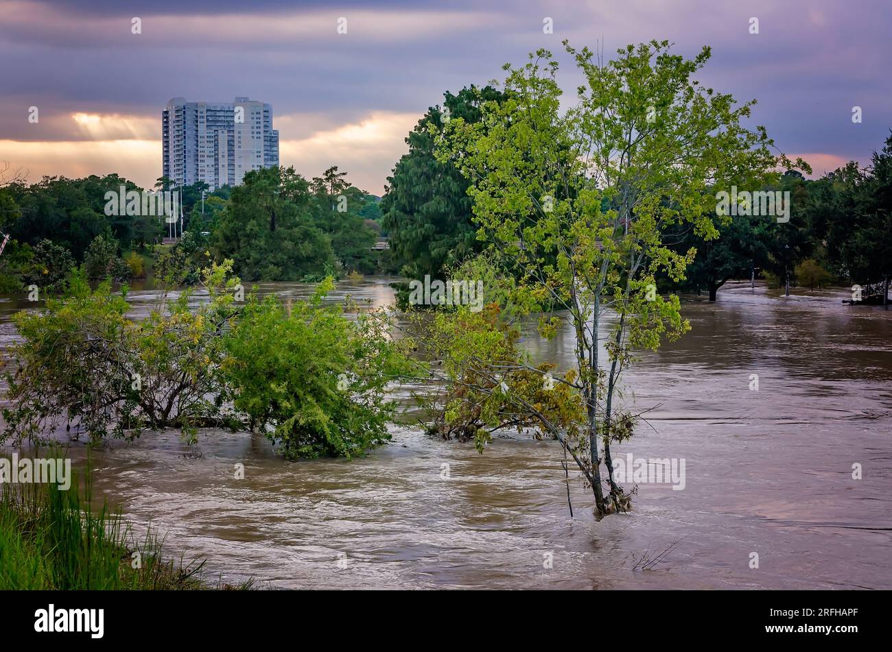 Buffalo Bayou Park est inondé après l'ouragan Harvey, le 4 septembre 2017, à Houston, au Texas. Banque D'Images