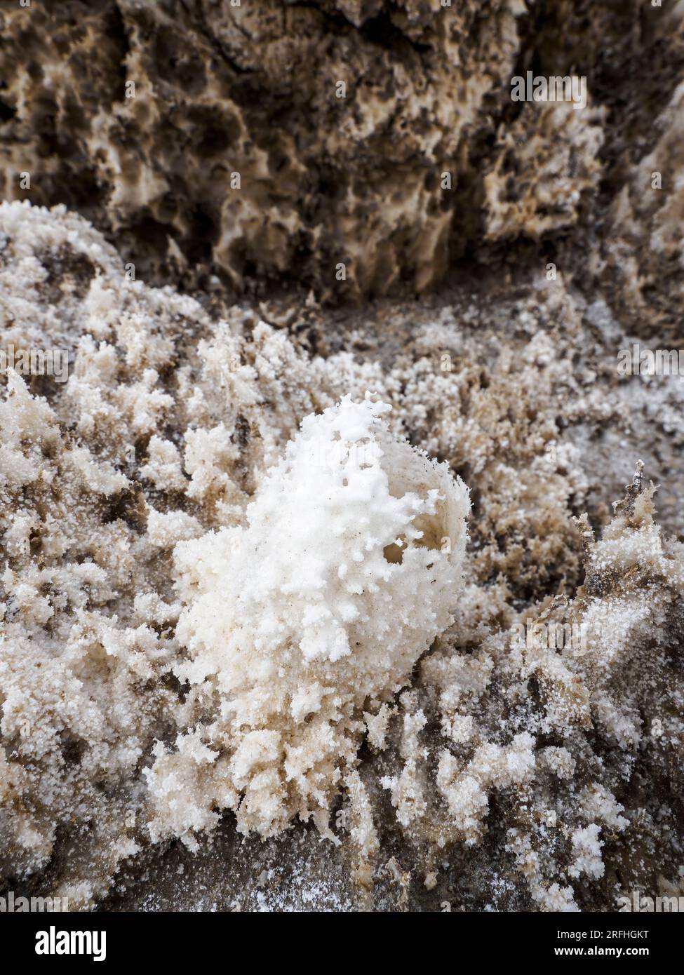 Le Devil's Golf course, un grand bac à sel rempli de cristal de halite, parc national de Death Valley, Californie, États-Unis. Banque D'Images