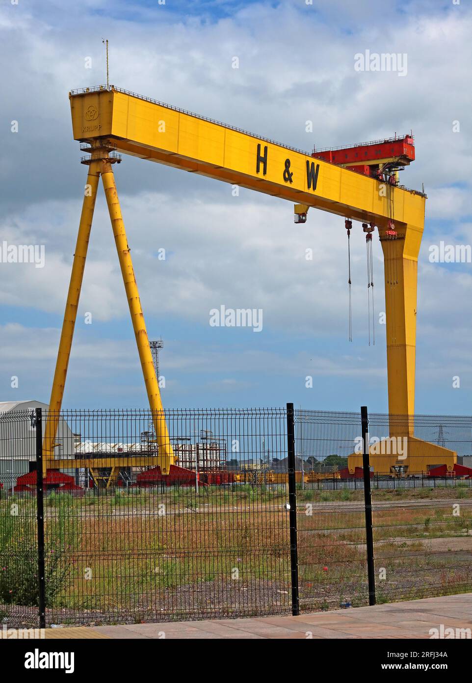 Grues jaunes Harland et Wolff, dans le chantier naval, Samson & Goliath, Queen's Island, Belfast , Irlande du Nord, Royaume-Uni, BT3 9EU Banque D'Images