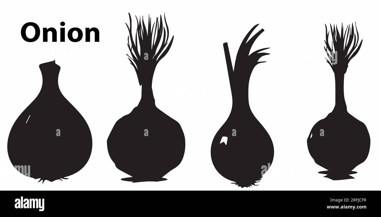 Un ensemble d'illustration vectorielle d'oignon de silhouette Illustration de Vecteur