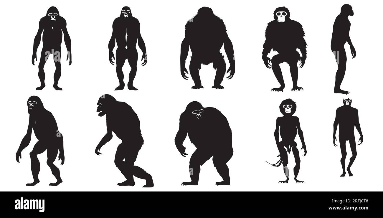 Un ensemble de silhouette Gorilla Vector illustration Illustration de Vecteur