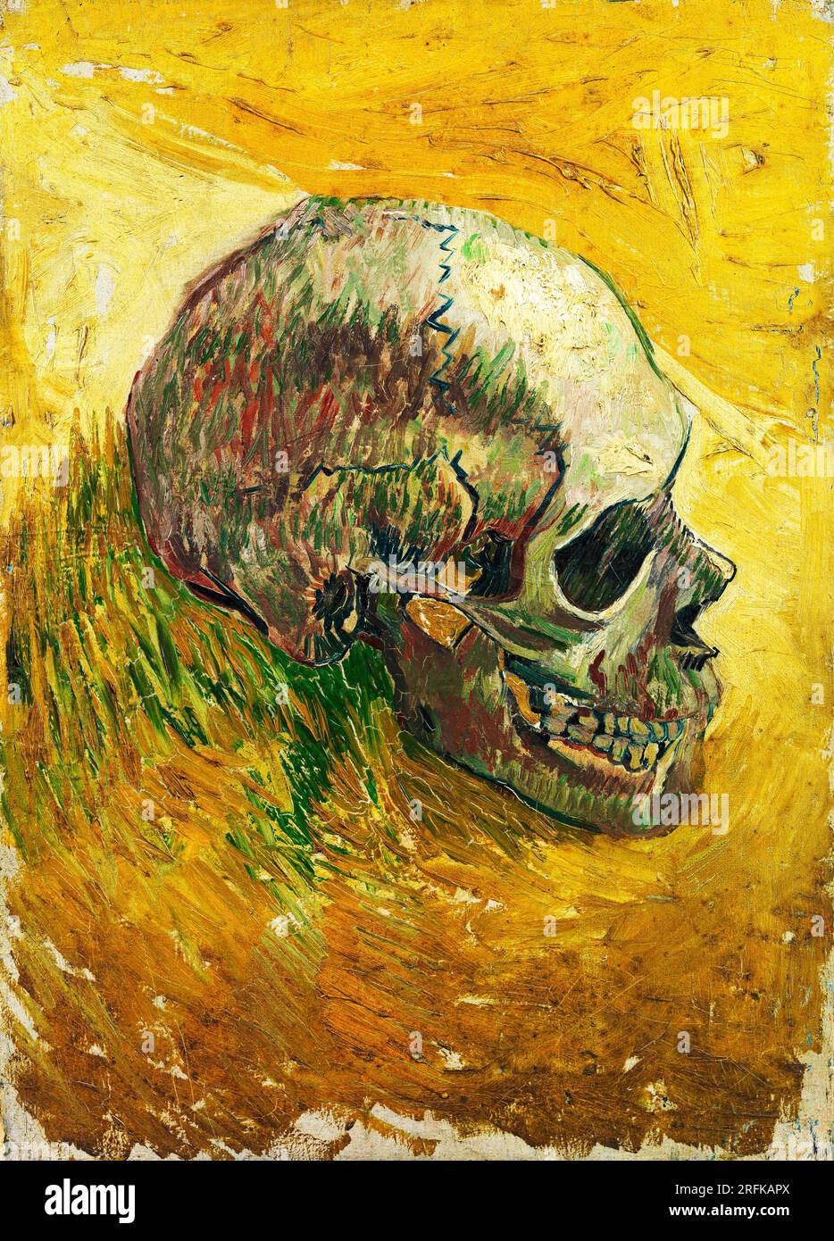 L'expressionnisme crânien de Vincent van Gogh. Banque D'Images