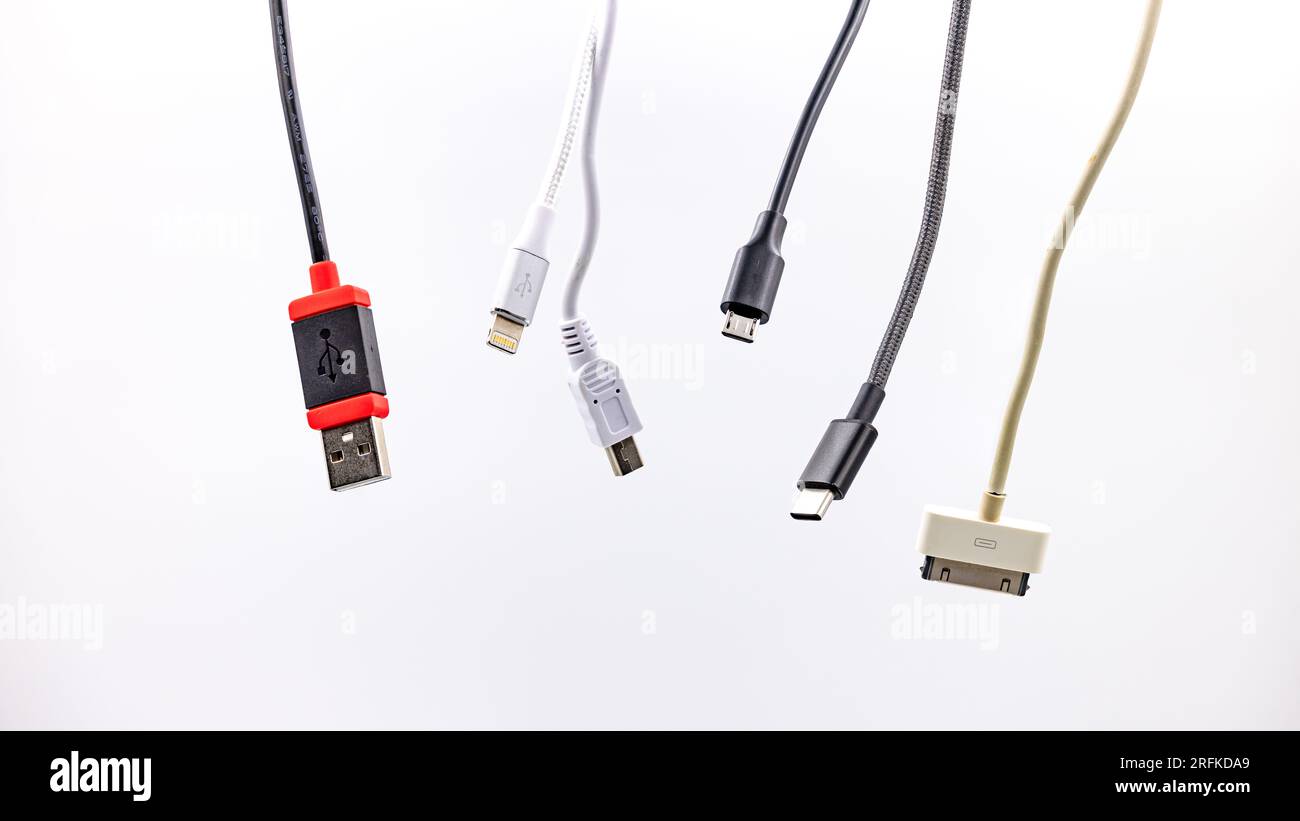 USB de type A et C ainsi que micro USB et prise Lightning avec câble exposé devant blanc Banque D'Images