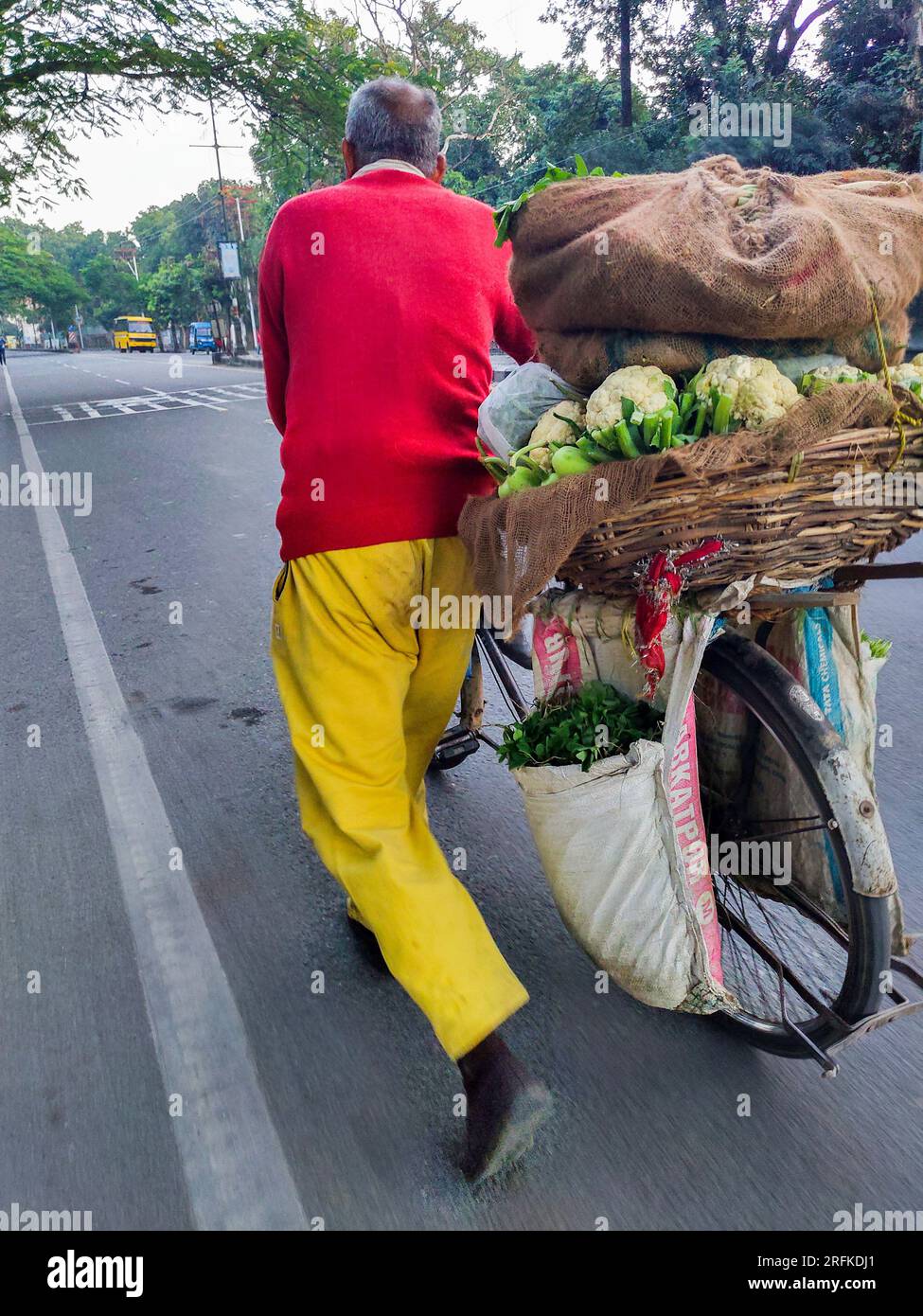 14 octobre 2022 Uttarakhand, Inde. 'Vendeur de rue vendant des légumes sur un vélo dans la ville de Dehradun, Uttarakhand, Inde. Scène colorée du marché local. Banque D'Images