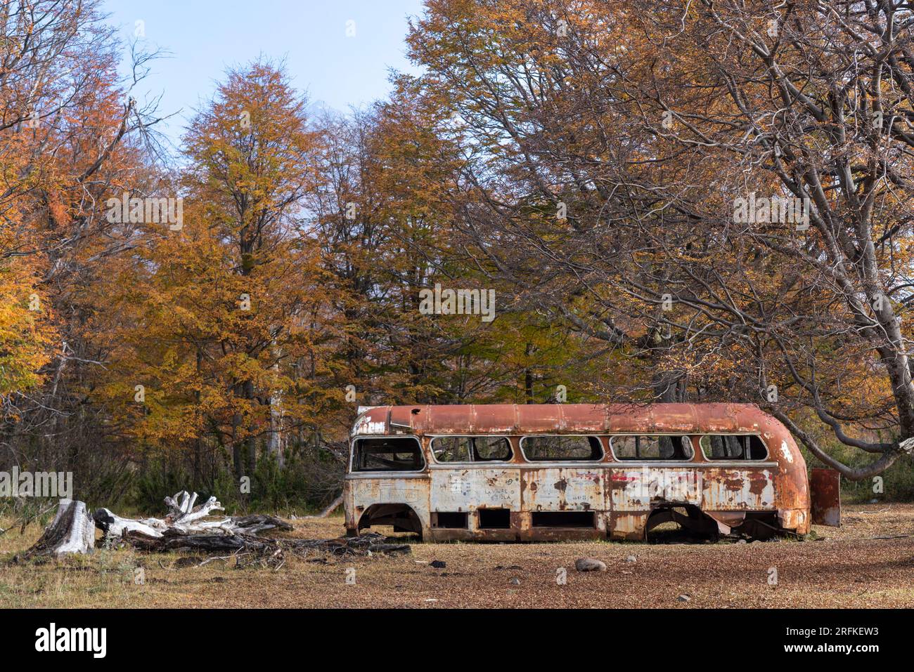 Un bus rouillé abandonné dans la forêt pendant l'automne en Patagonie Banque D'Images