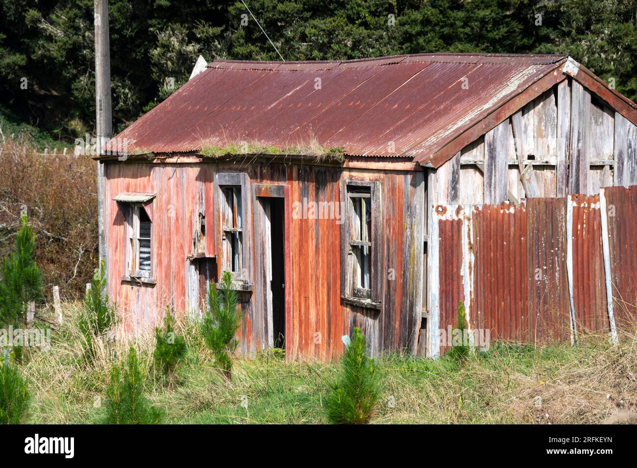 Maison abandonnée, près de Whangamomona, Île du Nord, Nouvelle-Zélande Banque D'Images