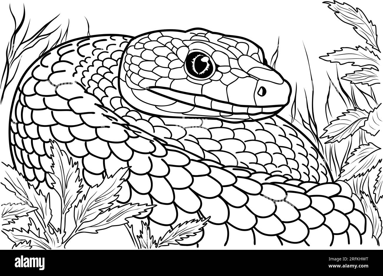Coloriages De Serpent Anaconda 73 Anaconda Snake High Res Coloriages De Serpent Anaconda 73 Anaconda Snake High Res